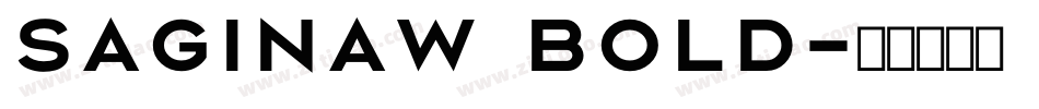 Saginaw Bold字体转换